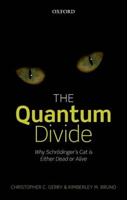 Quantum Divide book