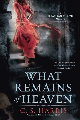 What Remains of Heaven book
