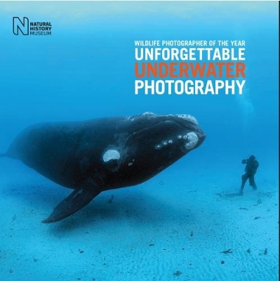 Wildlife Photographer of the Year: Unforgettable Underwater Photography by Rosamund Kidman Cox