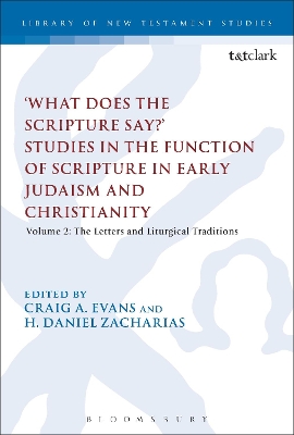 What Does the Scripture Say?' Studies in the Function of Scripture in Early Judaism and Christianity: Volume 2: The Letters and Liturgical Traditions by Dr. Craig A. Evans