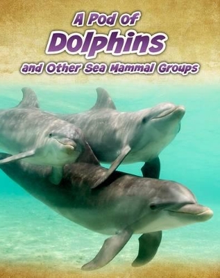 Pod of Dolphins book
