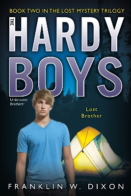 Lost Brother book
