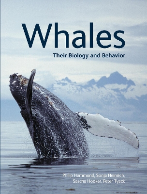 Whales book