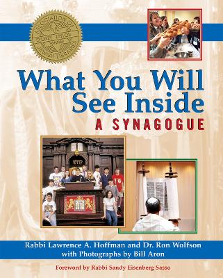 What You Will See Inside a Synagogue book