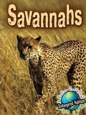 Savannahs book