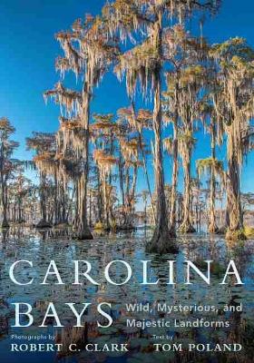 Carolina Bays: Wild, Mysterious, and Majestic Landforms book