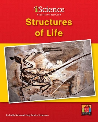 Structures of Life by Emily Sohn