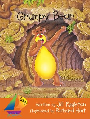 Grumpy Bear book