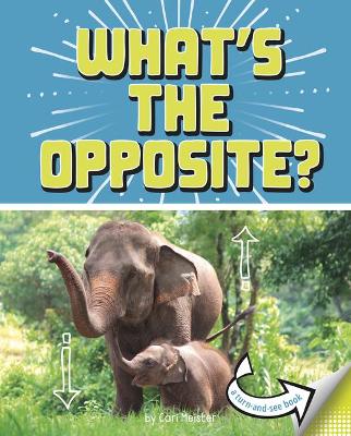 What's The Opposite: A Turn-And-See Book book