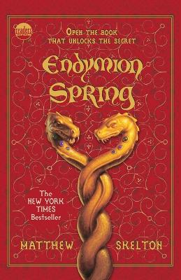 Endymion Spring book