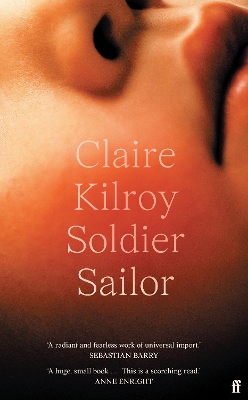 Soldier Sailor: 'Intense, furious, moving and often extremely funny.' DAVID NICHOLLS book