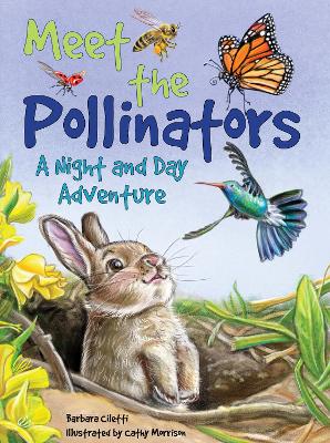 Meet the Pollinators: A Night and Day Adventure book