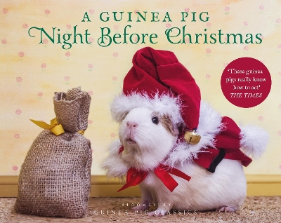 A Guinea Pig Night Before Christmas book