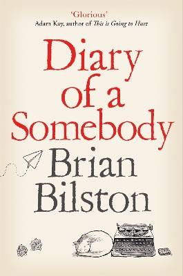 Diary of a Somebody book