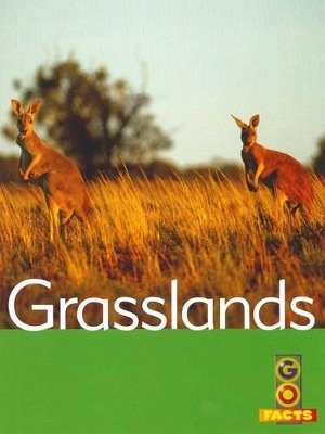 Grasslands by Ian Rohr