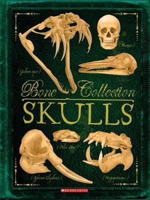 Bone Collection: Skulls book