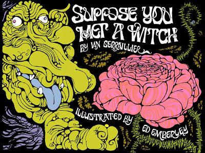 Suppose You Met a Witch book