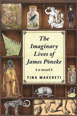 Imaginary Lives of James Poneke book