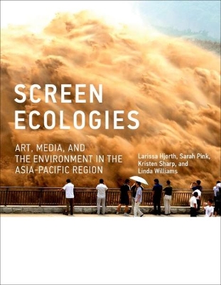 Screen Ecologies book