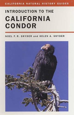 The Introduction to the California Condor by Noel F. R. Snyder