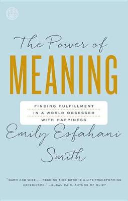Power of Meaning book