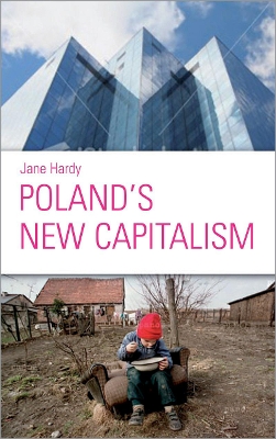 Poland's New Capitalism book