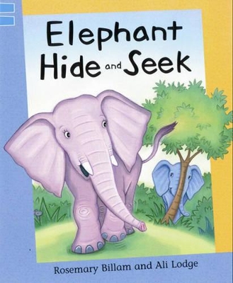 Elephant Hide and Seek book