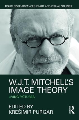 W.J.T. Mitchell's Image Theory book