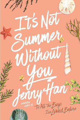 It's Not Summer Without You book