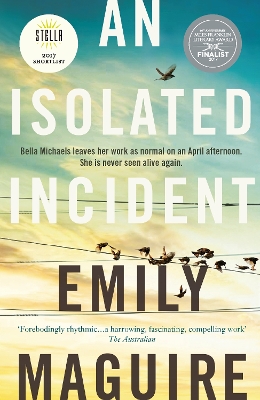 Isolated Incident book