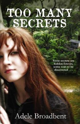Too Many Secrets book