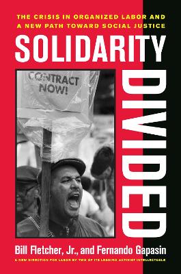 Solidarity Divided book