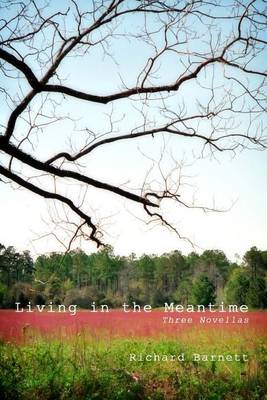Living in the Meantime: Three Novellas book