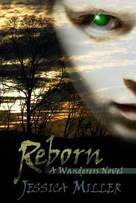 Reborn (wanderers, #2) book