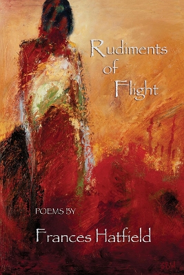 Rudiments of Flight book