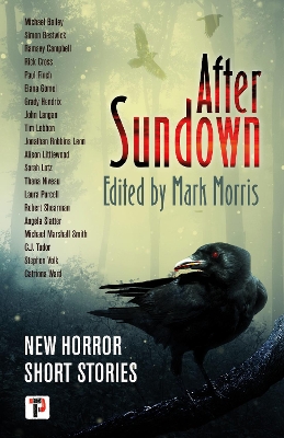 After Sundown book