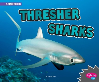 Thresher Sharks by Jody S. Rake