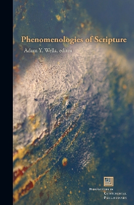 Phenomenologies of Scripture book