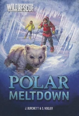 Polar Meltdown by Jan Burchett