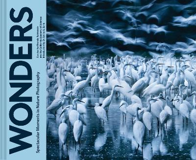 Wonders book