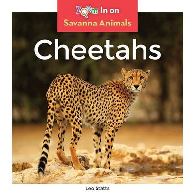 Cheetahs by Leo Statts