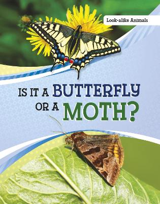 Is It a Butterfly or a Moth? by Susan B Katz