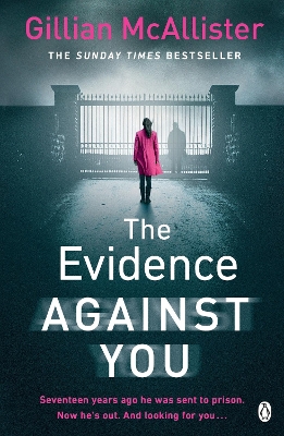 The Evidence Against You: The gripping bestseller from the author of Richard & Judy pick That Night book