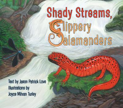 Shady Streams, Slippery Salamanders book