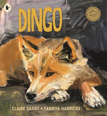 Dingo by Claire Saxby
