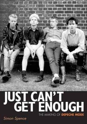 Just Can't Get Enough book