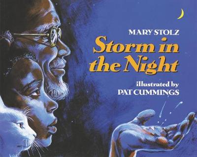 Storm in the Night book