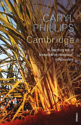 Cambridge book