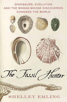 Fossil Hunter book