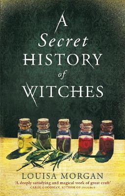 Secret History of Witches book